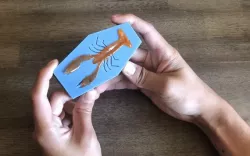 Crawfish Mold (Open Pour)