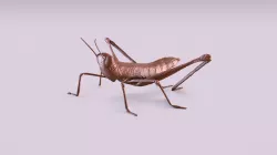 Cricket figurine