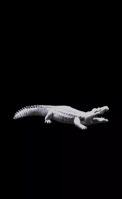 crocodile