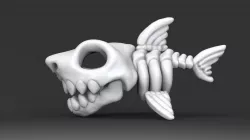Cute Shark Skeleton