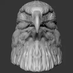 Eagle