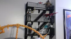 Fire Escape Shelf for 4 5 6 7 inch action figures