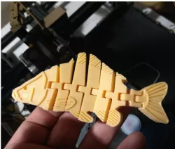 FLEXI CARP