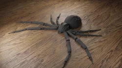 Flexi spider