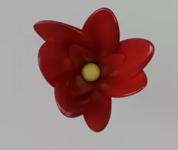 Freesia