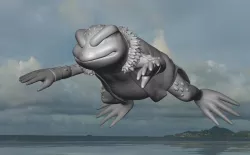 gamabunta Naruto