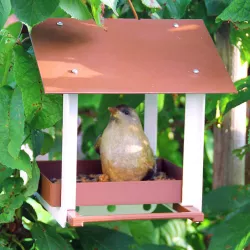 Hanging Birdhouse Bird feeder house, FREE. Vogelhäuschen