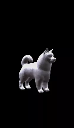 Hashki dog