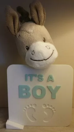 It's A Boy/Girl