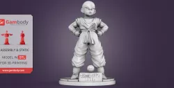 Krillin - Dragonball