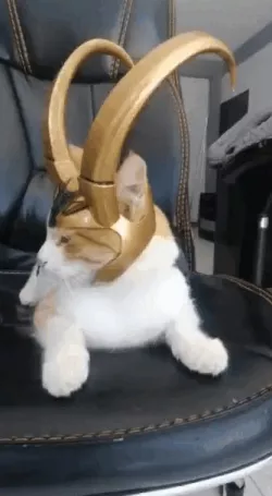 LOKI CAT-MASK