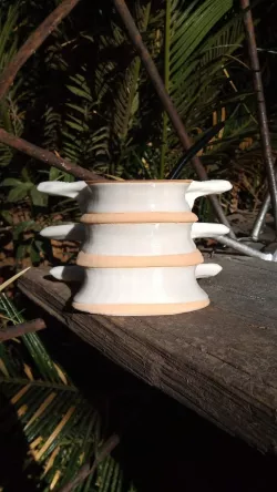 Mate Spine