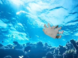 MINECRAFT MINECRAFT SALAMANDER