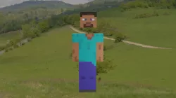 Minecraft Steve Removable