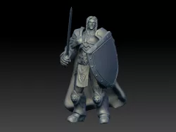 Paladin miniature for DnD