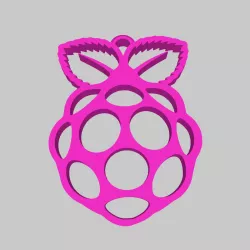 Raspberry Pi Earrings