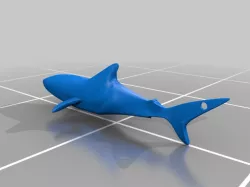 Shark!