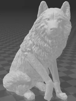 Sitting wolf