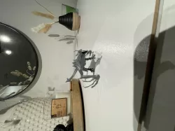 Skyrim Dragon