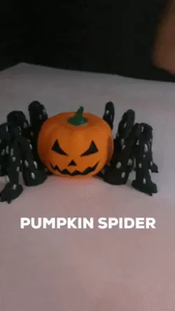 Spider Pumpkin Articulated
