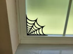 Spider window web