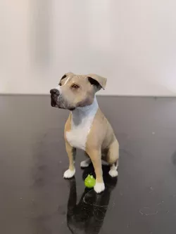 Stafford Terrier dog