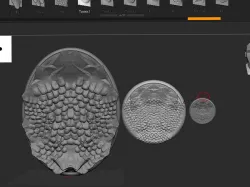 Stone Base Pack