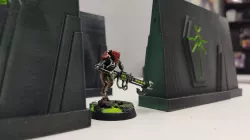 terrain
