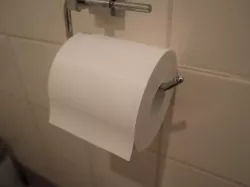Toilet Paper Roll - Corona Virus Companion