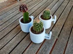 Torrent Cactus Pots