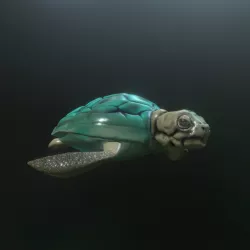 TORTUGA MARINA / SEA TURTLE