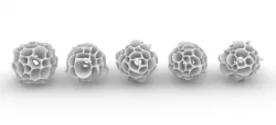Algae Beads