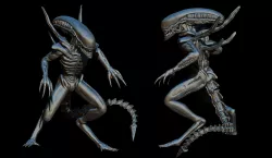 alien xenomorph