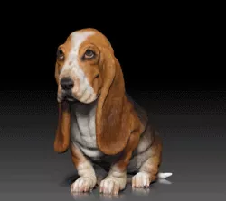 BASSET HOUND (sitting pose)-STL & VRML Color Format - HUSH PUPPY - DOG BREED - sitting pose - 3D PRINT MODEL