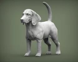 Beagle 3D print model