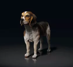 Beagle - STL & VRML COLOR FORMAT !- HUSH PUPPY - DOG BREED - SITTING POSE - 3D PRINT MODEL