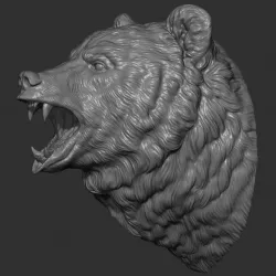 Bear brown head