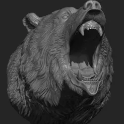 Bear grin head