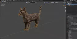 Bengal Cat
