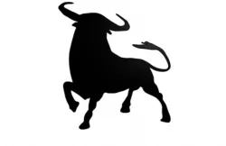 Bull Wall Art