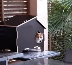 Cat House cnc file