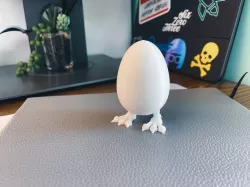 Chicken Egg with Legs