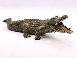 Crocodile
