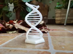 DNA structure