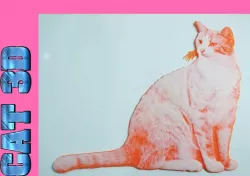 Drawing 3d CAT