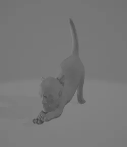 Dwayne "The Cat" Johnson