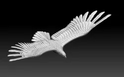 eagle