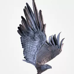 Eagle Flying