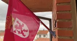 Flagpole support