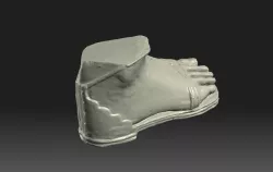 Foot with 2nd century Roman sandal